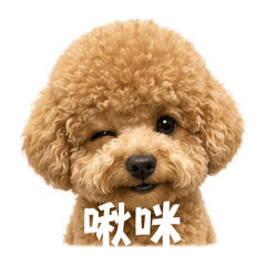 顏熊熊