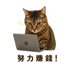 小屁貓 阿醬