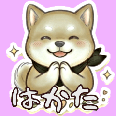 Shiba Inu Ko-chan, Hakataben