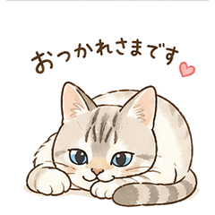 Nacchan's Daily Life