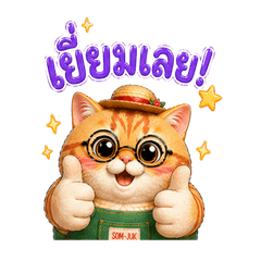 SomJookie: Moody Chubby Cat