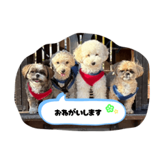 yuka_20260430155103