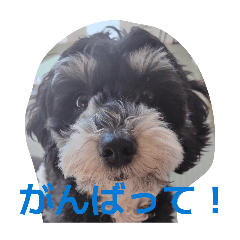 ami_20260430154202