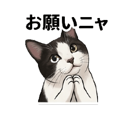 shirokurohachiwarenekono maiinichi stamp