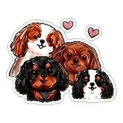 cavalier- Daily Chat Stickers