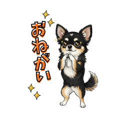 Chill Dog Messages