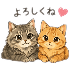 Friendly cat duo