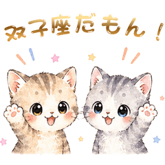Popon: The Astrology Cat(Gemini)