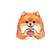 Pomeranian Muchan Daily Stickers