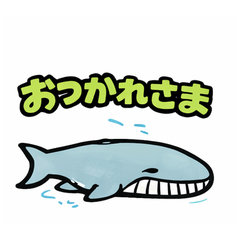 Yuru Kujira - Cute Whale Stickers