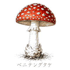 Poisonous Mushroom Field Guide 24