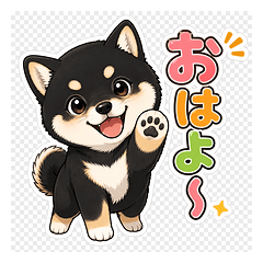 Cheerful Black Shiba