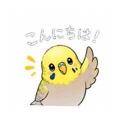 Parakeet - Daily Chat Stickers