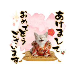 CAT  GOOD  Sticker121