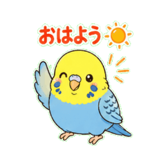 MAINITI Budgerigar