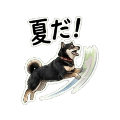 mameshiba Ryuu - Summer Stickers