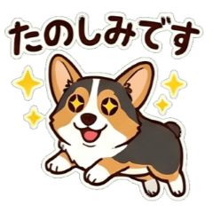Cutie Black Corgi - Daily Chat Stickers
