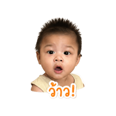 PLOY_20260428053201