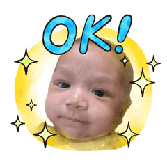 Npkk_20260428053405