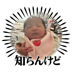 HMAMA_20260430160015