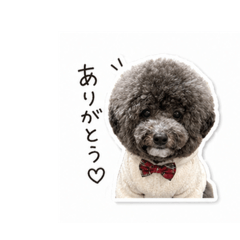 misa_20260430160155