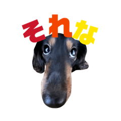 syuuuu_20260430162124