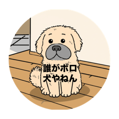 Natsu Golden_20260430162127