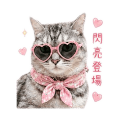 蛋蛋家族-虎斑貓小蛋花美少女寫真
