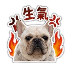 牛奶的日常用語～