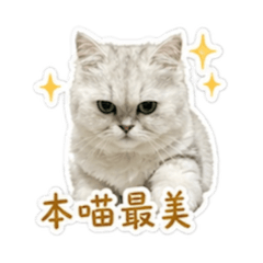 我家主子妮