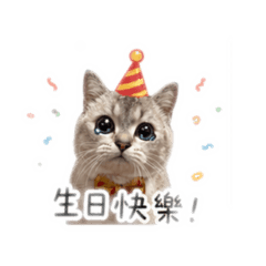 小K.k