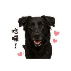 Bellaa 生活日常