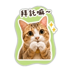 黃位繼承者：黃米歐