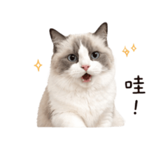 糖是表情包