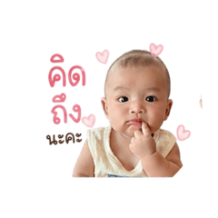 OSINNNN_20260428063535