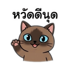 Kam Rai Jom Puan (Little menace cat)