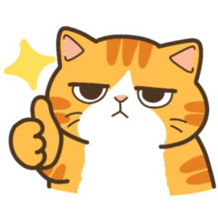 ChingChing,an orange cat