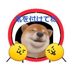neko.inurainsutanpu