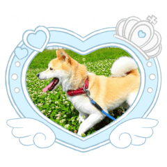 Sendai Senior Taro_20260430162850