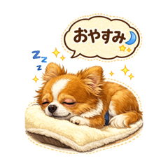 aki_20260430162830