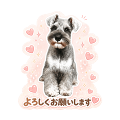 yukihi_20260430162811