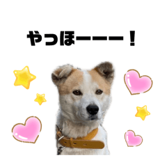Anpanmannn_20260430162937