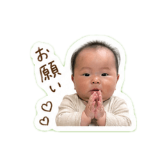 msn_20260430162818