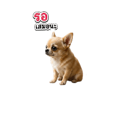 nuy_20260428062615