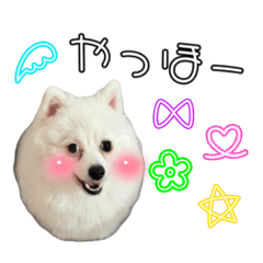 Sora's cute and interesting stamp 2