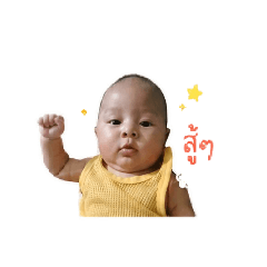 Tintin_20260428063023
