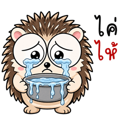 Naughty Hedgehog (Kum-muang)