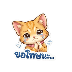 MaewJohn_baby