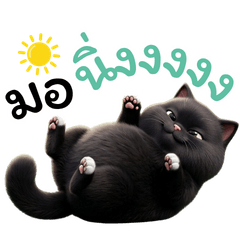 Bitoca Chubby Black Cat Cute & Funny 3D