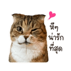 Its me CHLOE v.1